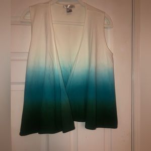 Ombré Cropped WD/NY Vest